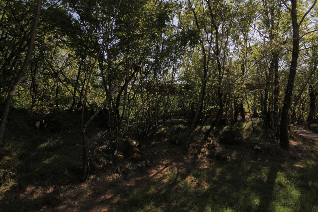 Vukova Dolina Apartments Cetinje Kültér fotó